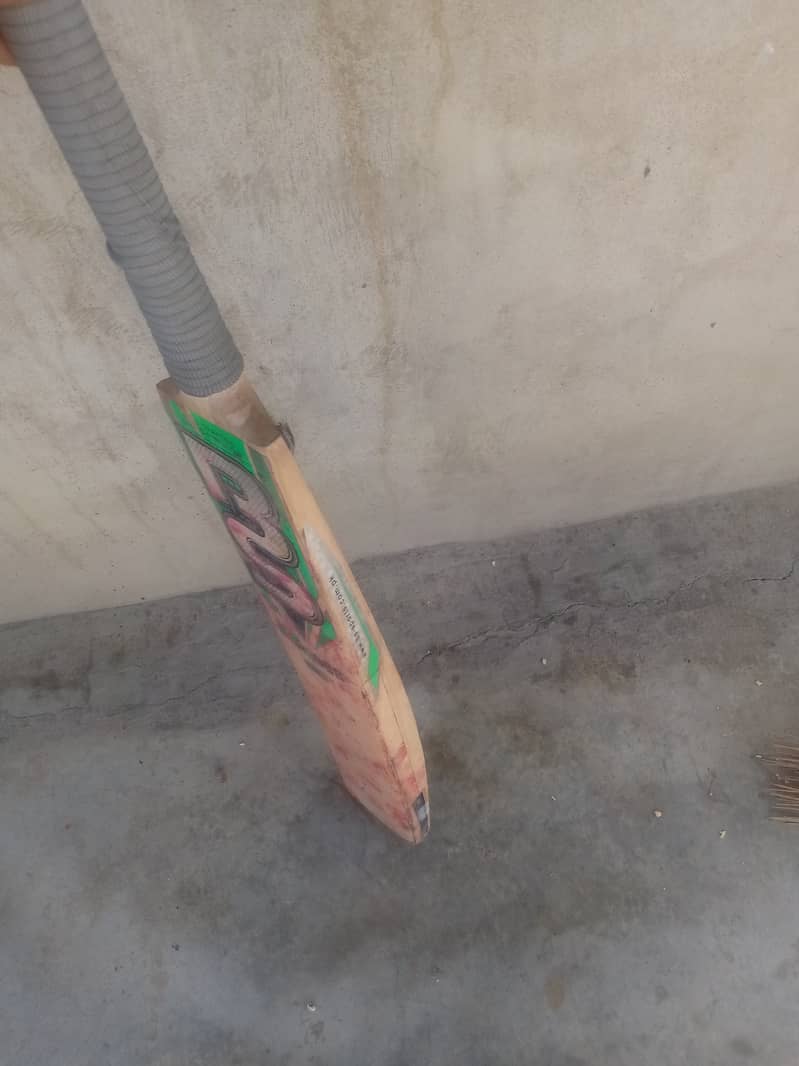 Cricket Bat Original English Willow BS Rx 808 2