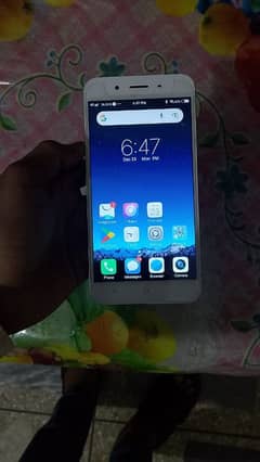 vivo y17.