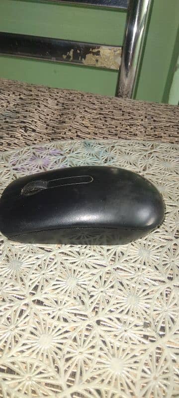 mouse 1