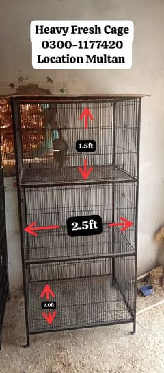 Cages Available Fresh Condition