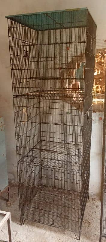 Cages Available Fresh Condition 1