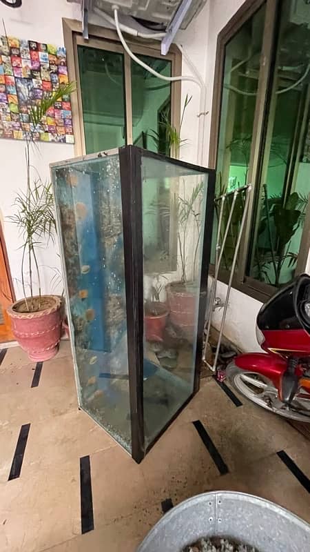 Aquarium/Fish Tank Setup for sale in Sialkot 5ftx2.5ftx2.5ft. 0