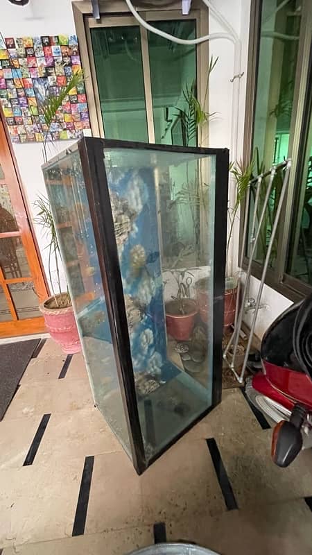 Aquarium/Fish Tank Setup for sale in Sialkot 5ftx2.5ftx2.5ft. 1