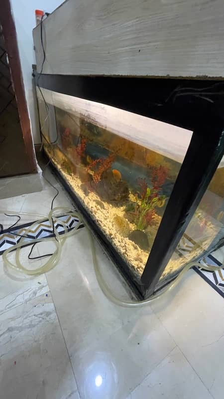 Aquarium/Fish Tank Setup for sale in Sialkot 5ftx2.5ftx2.5ft. 2