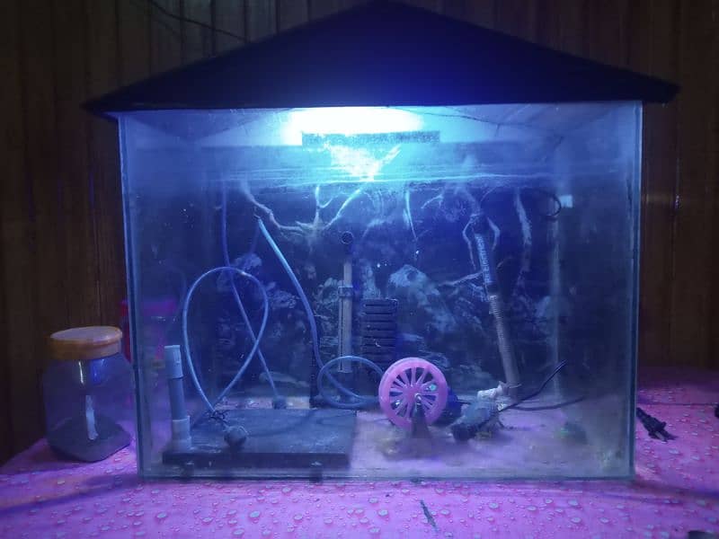 Fish aquarium with all accessories 0