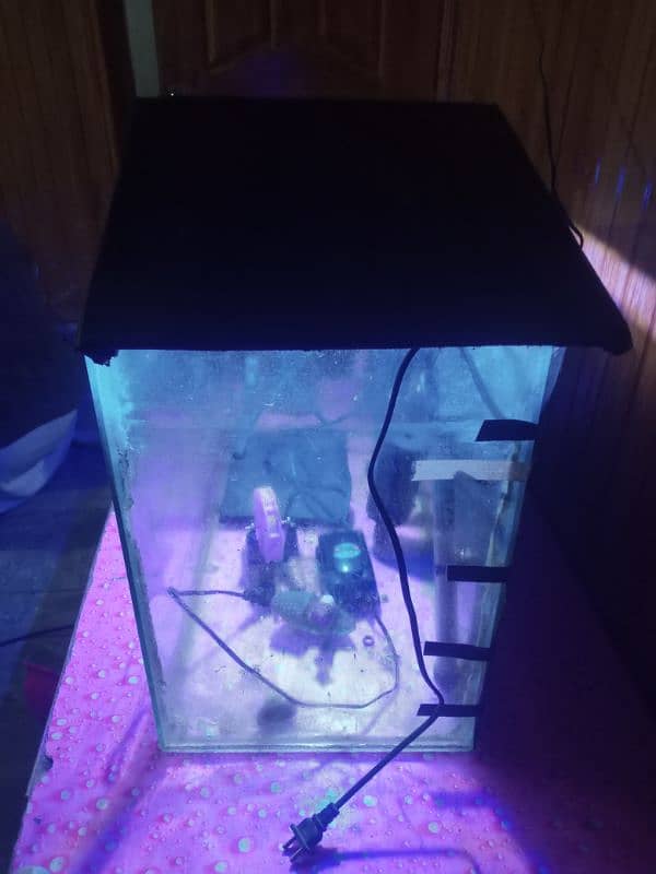 Fish aquarium with all accessories 1