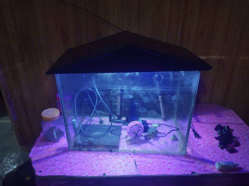 Fish aquarium with all accessories 3