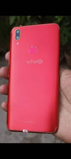 Vivo