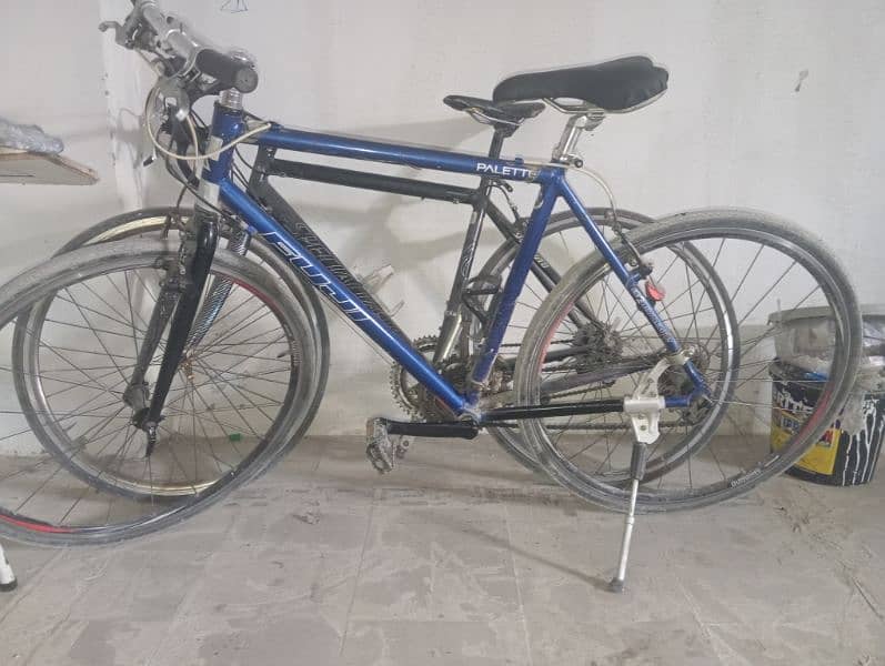 Fuji hybrid cycle large size colour in good condition 0