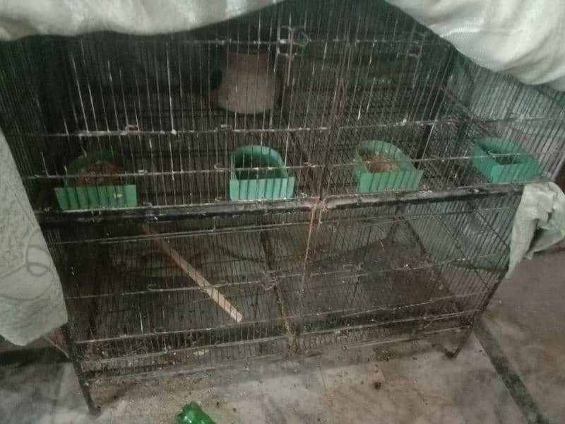 wire cage . finches pair for sale 4