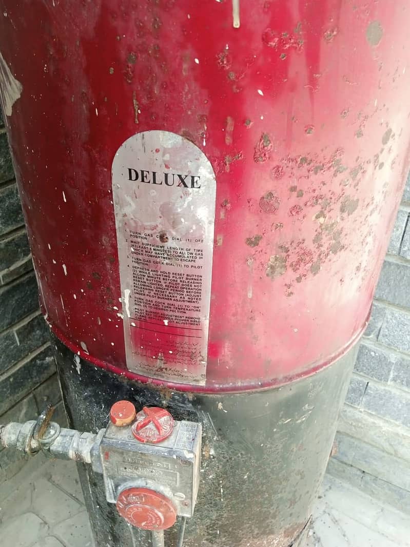 Geyser Good Condition 30 Gallon Tank 0