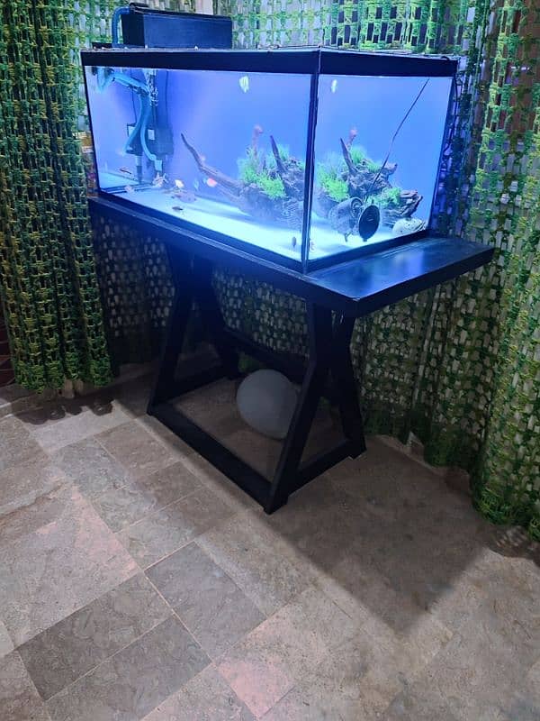 3 Feet Aquarium for sale 1