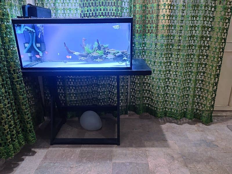 3 Feet Aquarium for sale 2