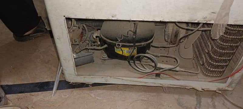 PEL Freezer for sale (Compressor needs Repairing) 5