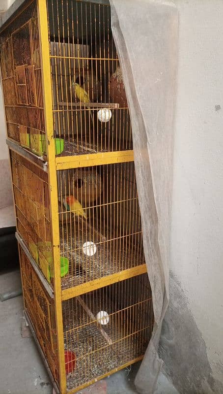 cage for sale 0