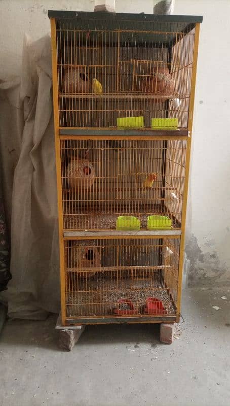 cage for sale 2