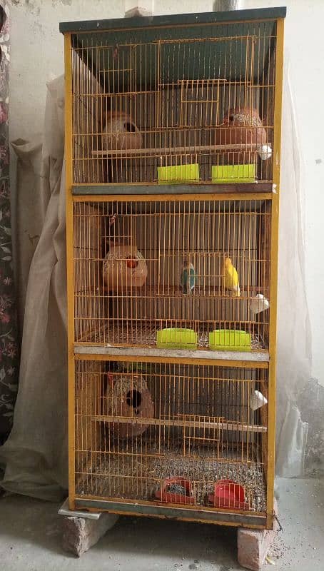 cage for sale 3