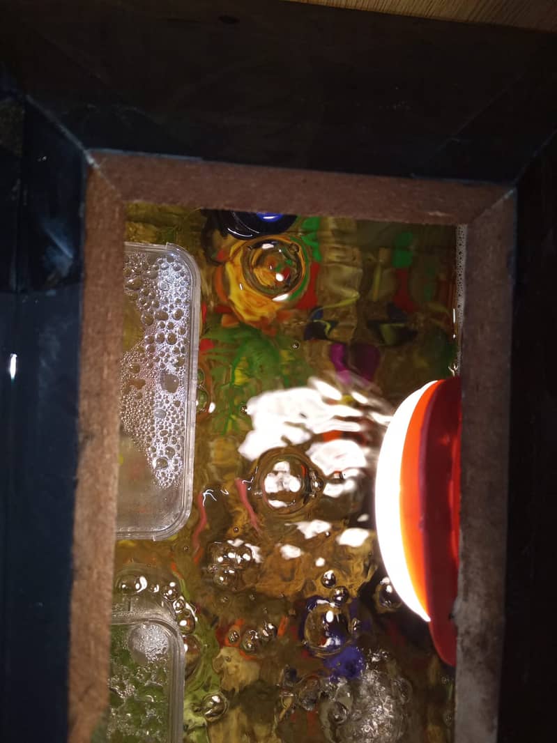 2 Fish Aquariums / Aquariums For Sale / fishtank / aquarium with stand 13