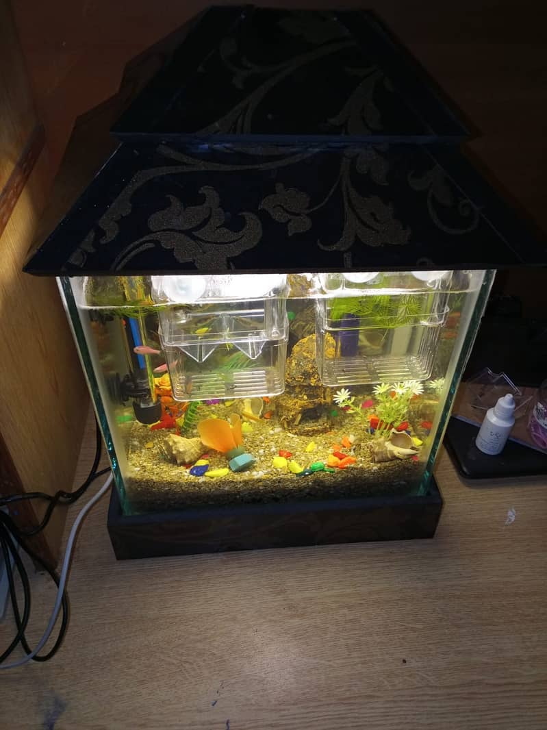 2 Fish Aquariums / Aquariums For Sale / fishtank / aquarium with stand 15