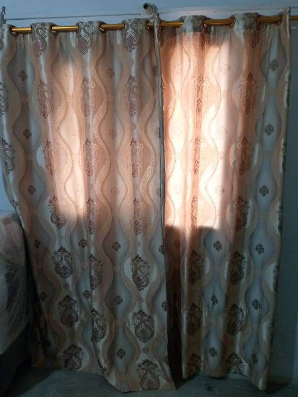 best quality fabric curtain (purday) for sale 4