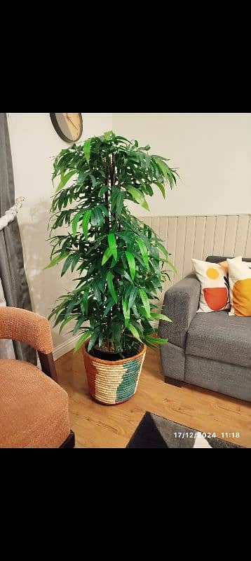 Artificial Plant for decoration 1