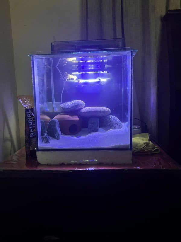 BRAND NEW 1 FEET FISH AQUARIUM WITH ALL ACCESSORIES AND CRAYFISH 6