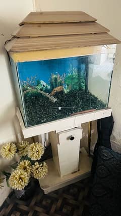 Aquarium with trolly for sell