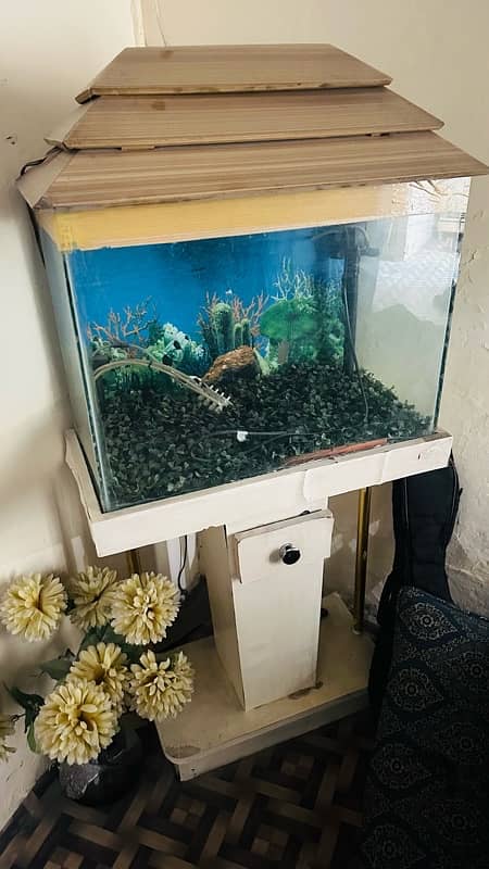 Aquarium with trolly for sell 0