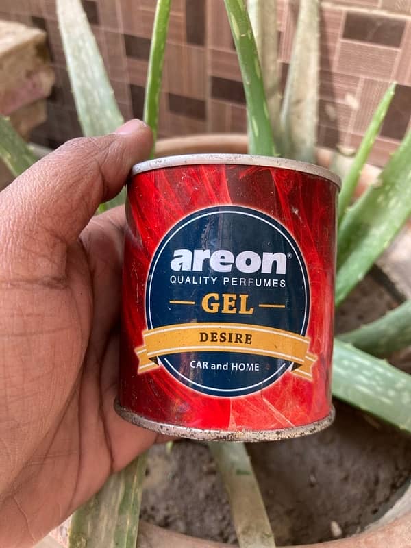 Home & car fragrance Gel - Areon - X - Black Odor 5