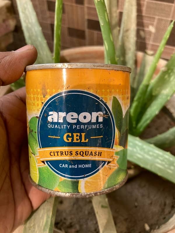 Home & car fragrance Gel - Areon - X - Black Odor 6