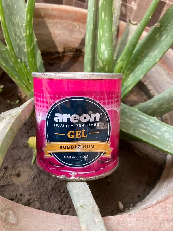 Home & car fragrance Gel - Areon - X - Black Odor 10