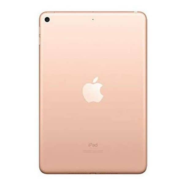 iPad mini5 0