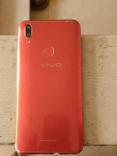 vivo