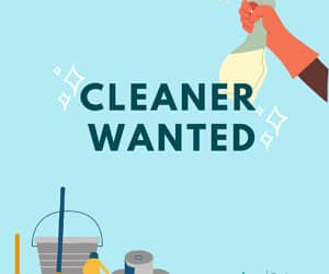 Cleaner Needed 0