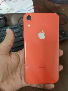 iphone xr 64gb read add