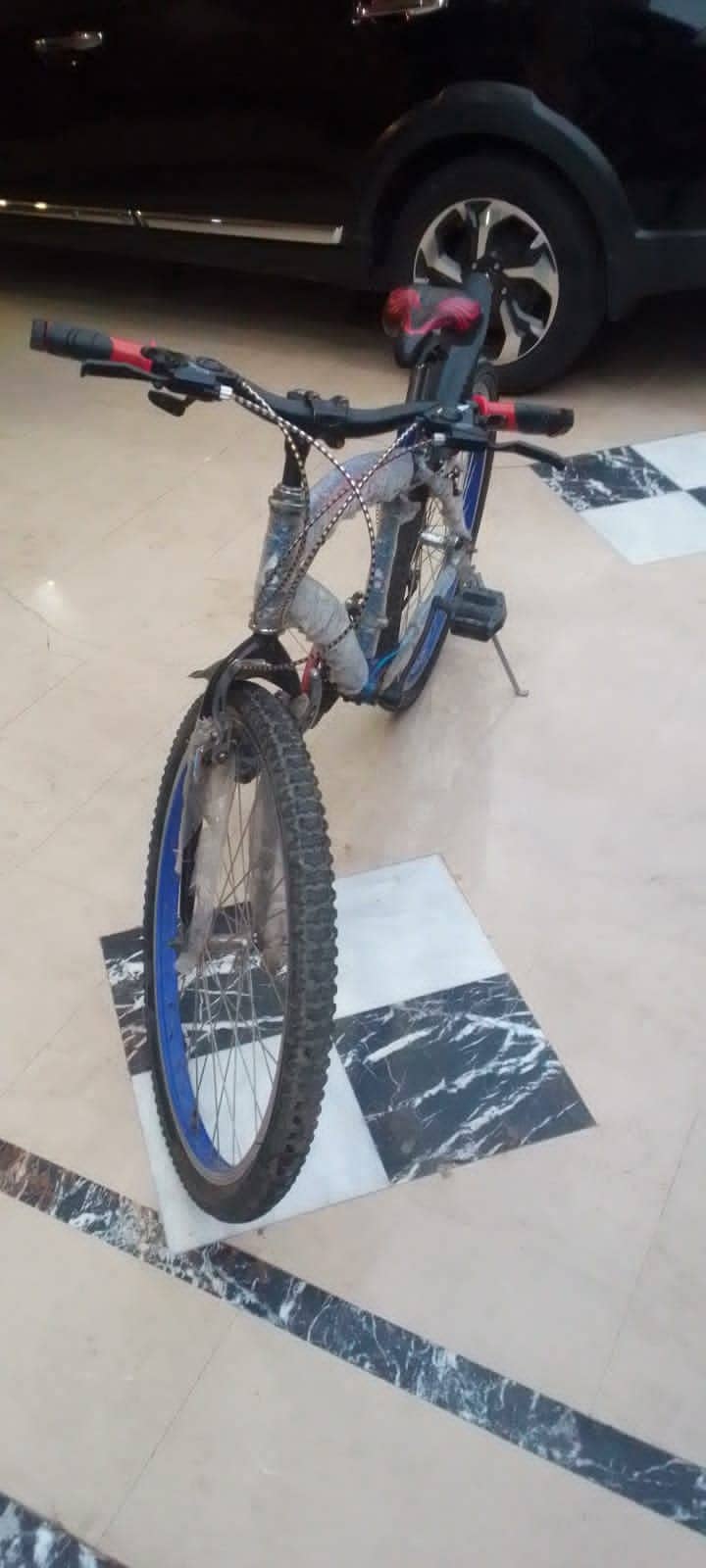 tetrapak bicycle with gears 5