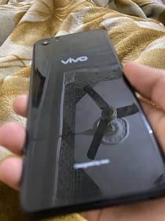 vivo