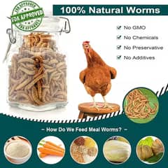 MealWorm