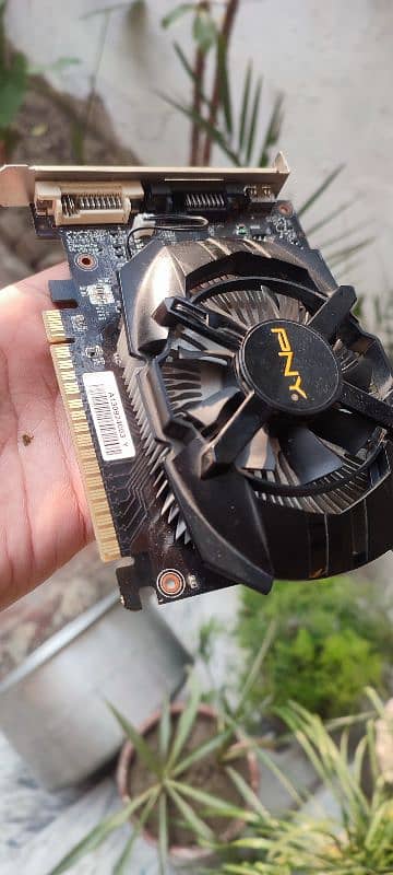 gtx650 2gb 128bits 2