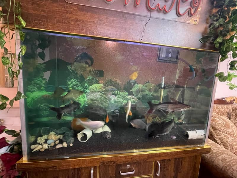 Fish Aquariums | fishtank | Aquariums For Sale | 2