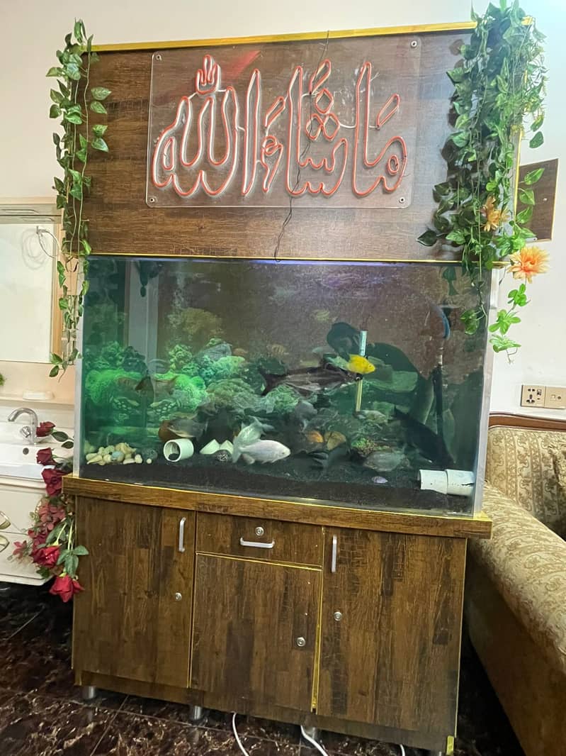 Fish Aquariums | fishtank | Aquariums For Sale | 3