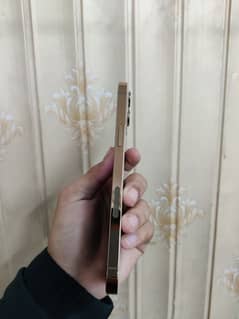 iphone 12 pro 512Gb non Pta factory unlock