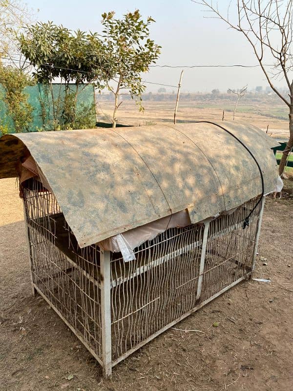 hens Cage double porshon for sale whatsapp or call 03125952440 1