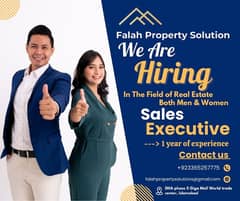 Hiring for a sales executive