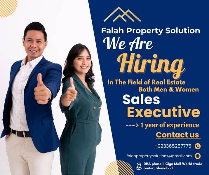 Hiring for a sales executive 0