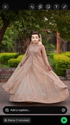 Walima Bridal Dress just 2 months huy haem