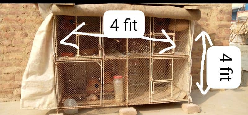 bird's Cage sell 4 khane wala ok Condition 0