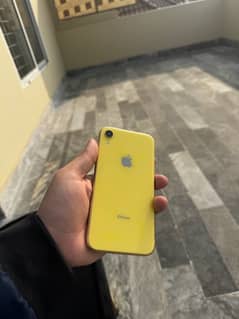 Iphone Xr 64 Gb dual PTA Approved