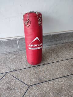 Apollo Punching bag Large