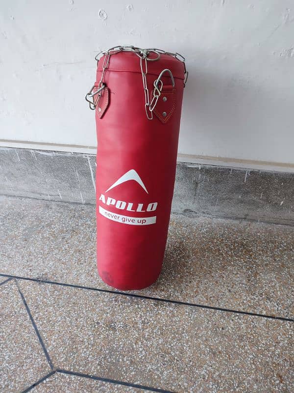 Apollo Punching bag Large 1